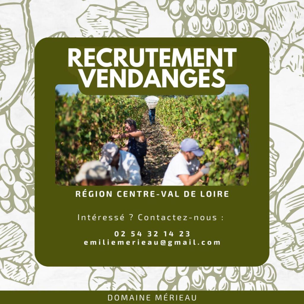 Post Facebook pour le recrutement pour les vendanges du Domaine Mérieau